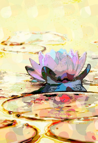 Water Lily by Scott J. Davis